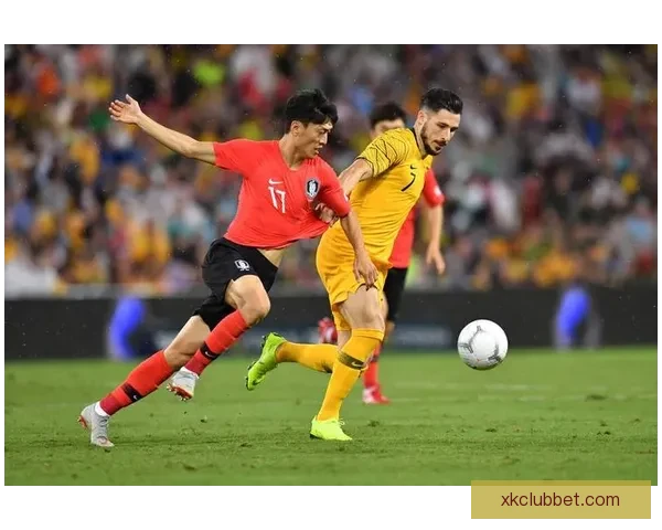 世界杯赛事全解析与投注技巧指南助你精准掌握胜负走势