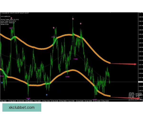 精准分析与策略预测：打造科学体育竞猜赢利模式